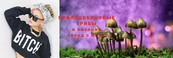 ешки Верхний Тагил