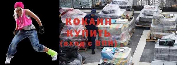 дживик Бронницы