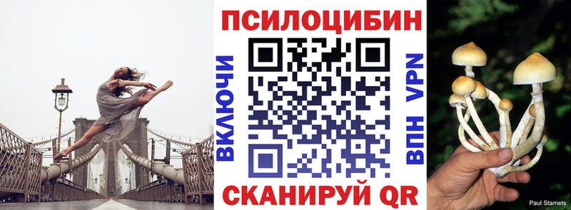 Галлюциногенные грибы GOLDEN TEACHER  Новохопёрск 